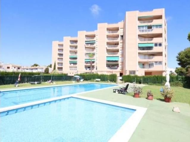 Piso Venta Orihuela, Orihuela