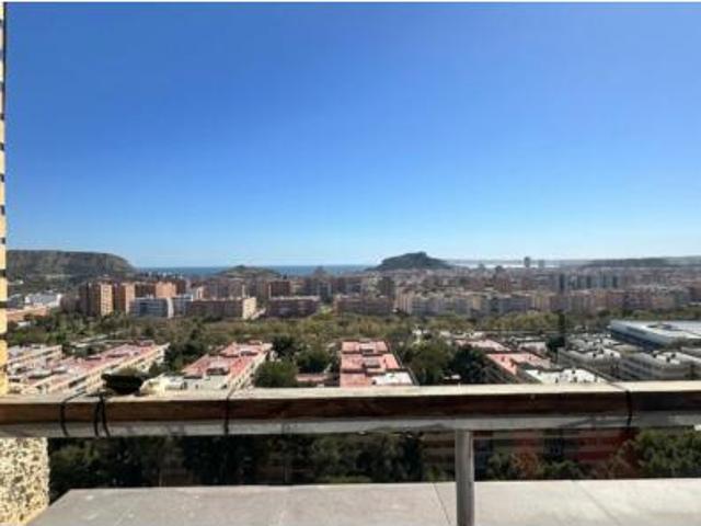 Piso Venta Alicante Alacant, Orgegia