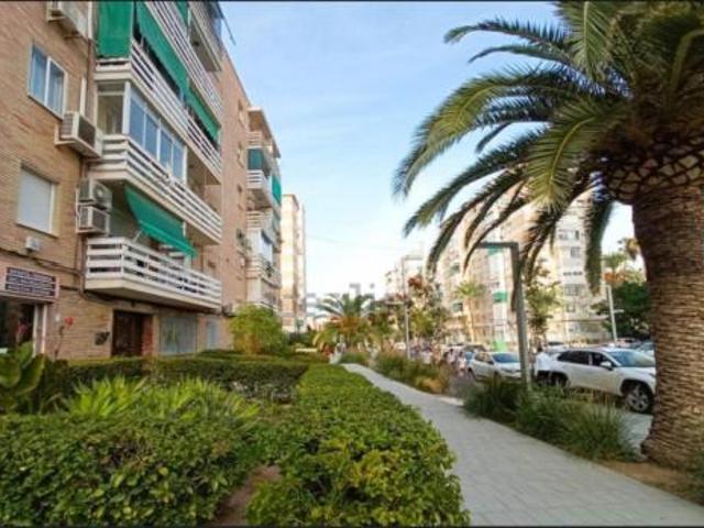 Piso Venta Alicante Alacant, Pla del Bon Repòs