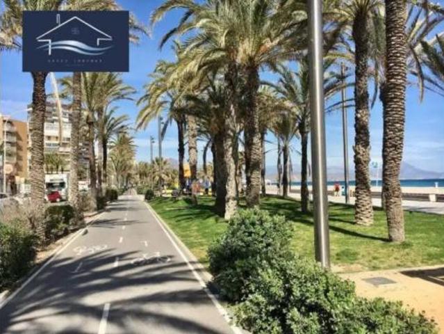 Piso Venta Alicante Alacant, Playa de San Juan