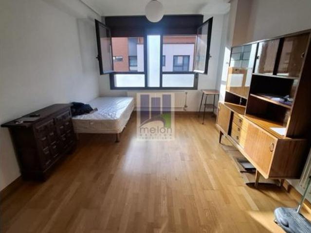 Piso Venta Burgos Capital, San Pedro de la Fuente Barrantes