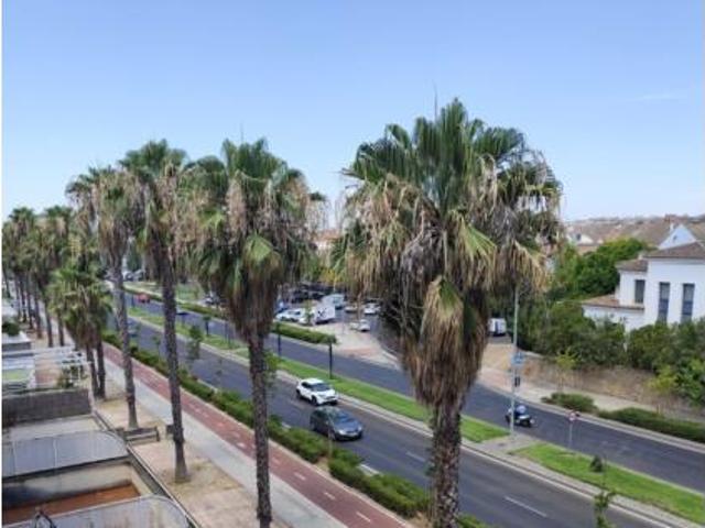 Piso Venta Badajoz Capital, Avenida de Elvas Campus