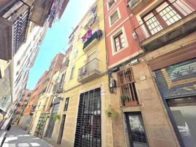 Piso Venta Barcelona Capital, El Raval
