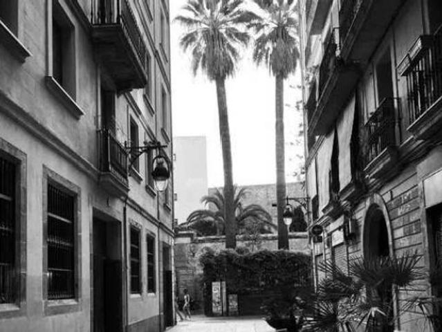 Piso Venta Barcelona Capital, El Raval