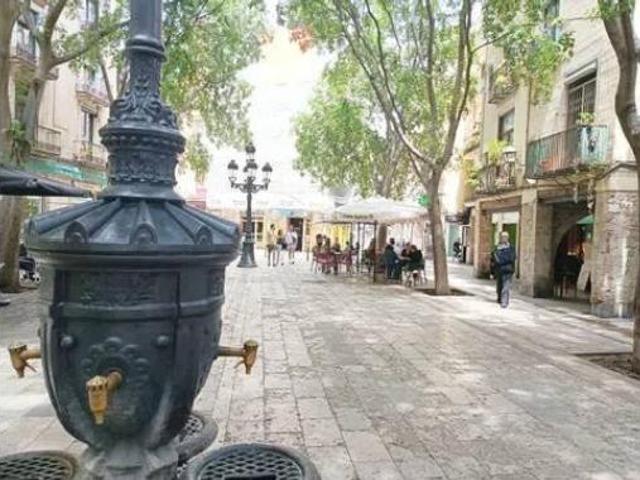 Piso Venta Barcelona Capital, Sant Pere Santa Caterina La Ribera