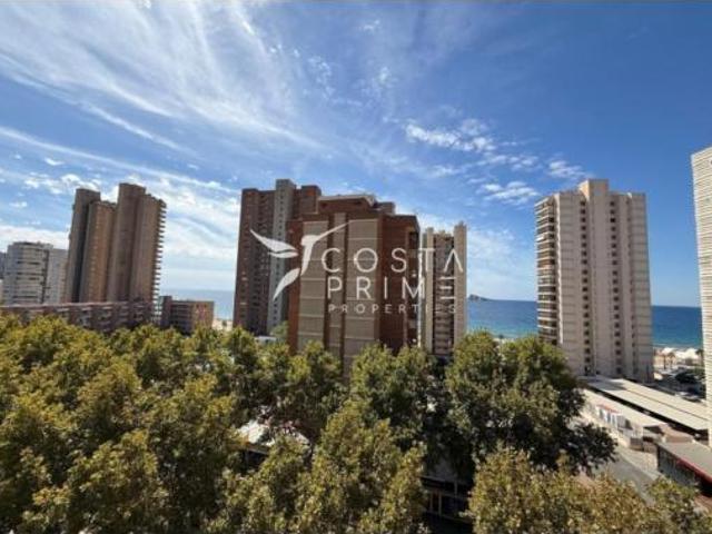 Piso Venta Benidorm, Benidorm