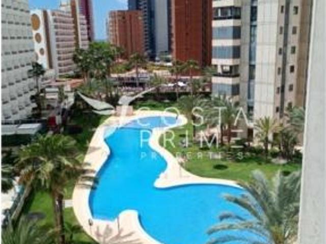 Piso Venta Benidorm, Benidorm