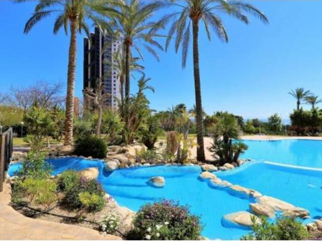 Piso Venta Benidorm, Platja de Ponent
