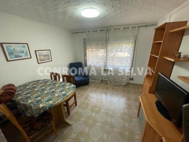 Piso Venta Blanes, La Plantera
