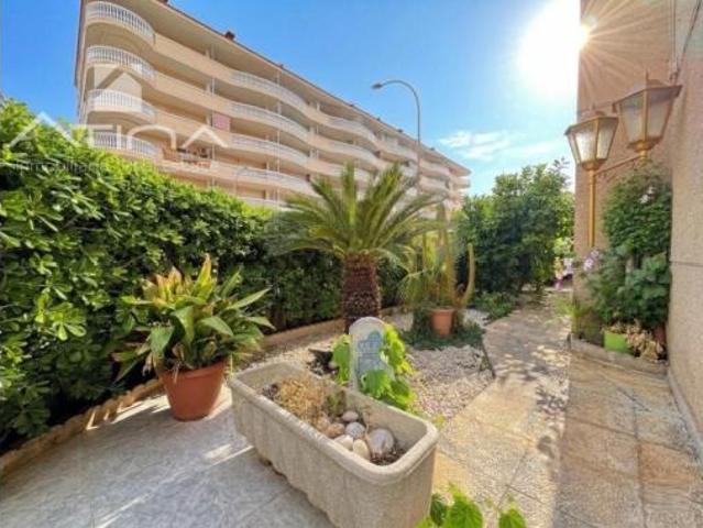 Piso Venta Daimús, Daimús