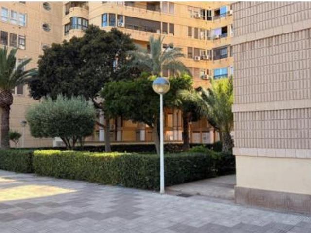 Piso Venta Elx Elche, Centro
