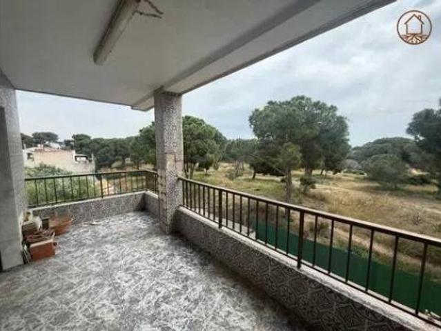 Piso Venta Guardamar del Segura, Buenavista