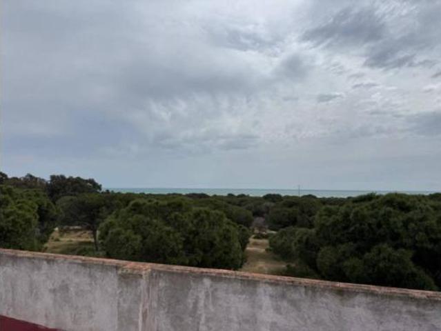 Piso Venta Guardamar del Segura, Buenavista