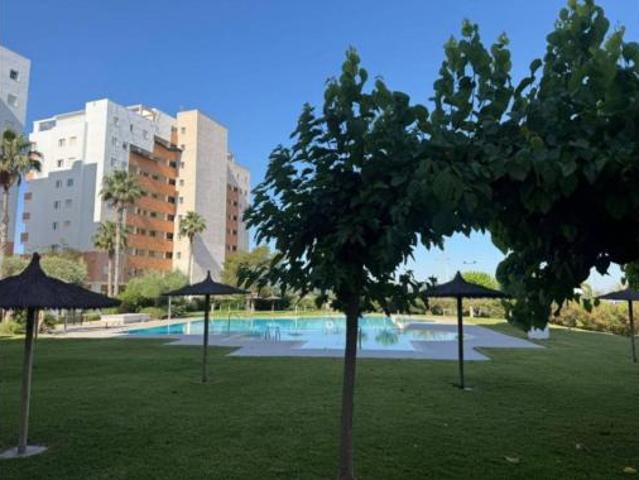 Piso Venta Guardamar del Segura, Zona Puerto Deportivo