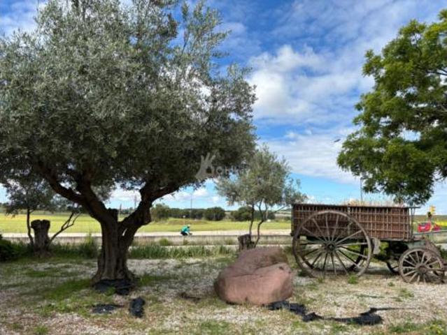 Piso Venta Getafe, Perales del Río