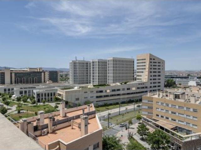 Piso Venta Granada Capital, Campus de la Salud Palacio de los Deportes