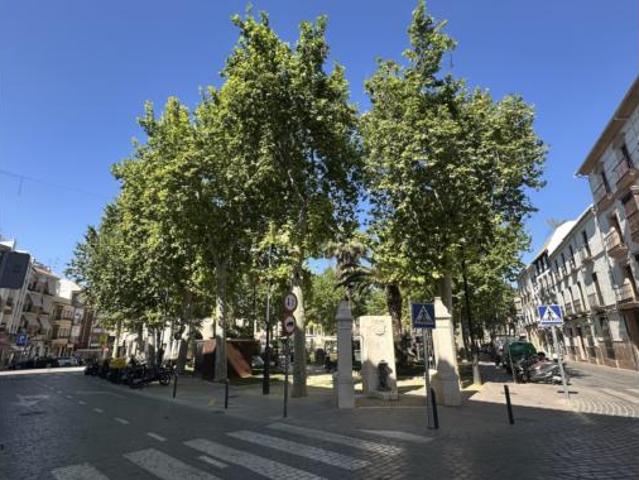 Piso Venta Lucena, Lucena