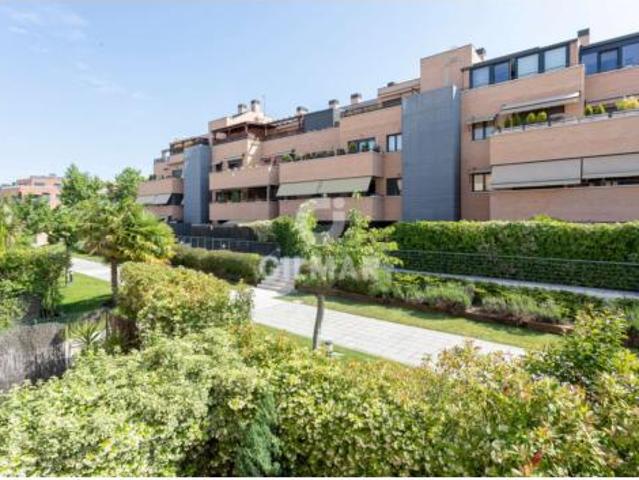 Piso Venta Las Rozas de Madrid, Centro