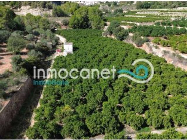Piso Venta L'Atzúbia, L'Atzúbia
