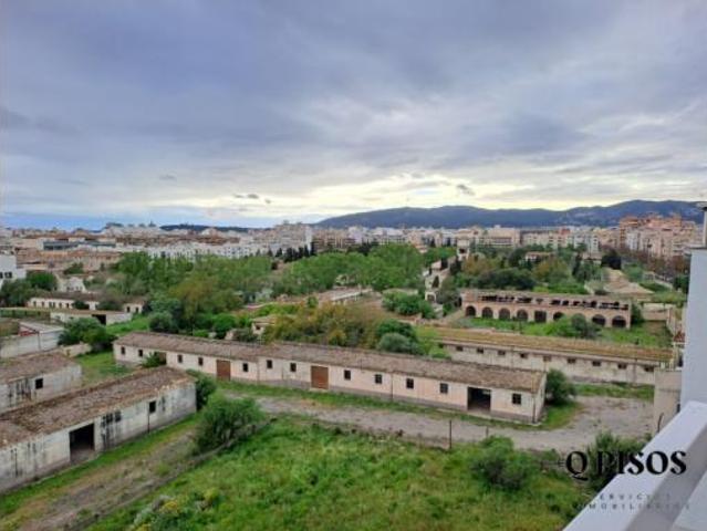 Piso Venta Palma de Mallorca, Cas Capiscol