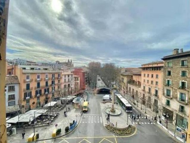 Piso Venta Palma de Mallorca, Cort