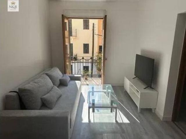 Piso Venta Palma de Mallorca, Cort