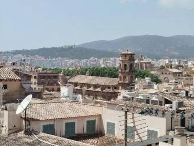 Piso Venta Palma de Mallorca, Cort