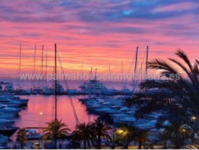 Piso Venta Palma de Mallorca, El Terreno