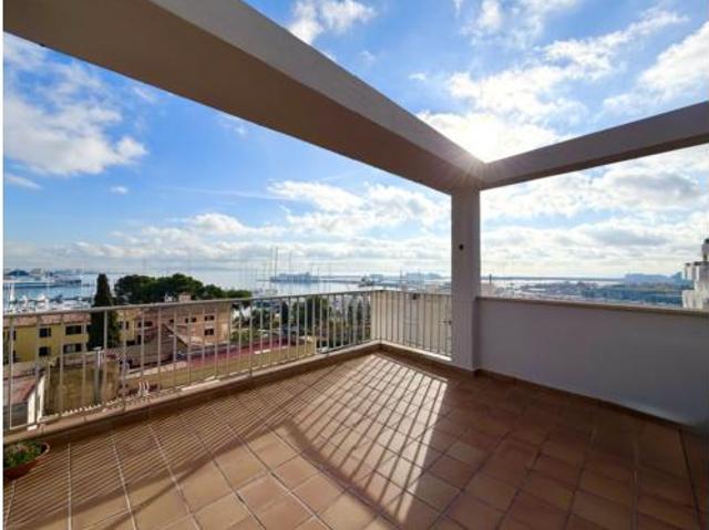 Piso Venta Palma de Mallorca, El Terreno