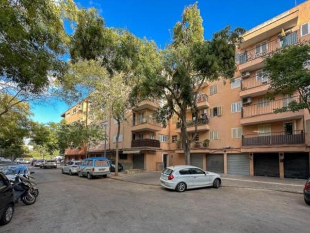 Piso Venta Palma de Mallorca, Son Oliva