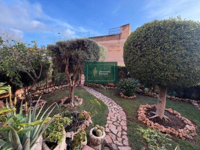 Piso Venta Sant Vicent del Raspeig San Vicente del Raspeig, Alcalde Felipe Mallol