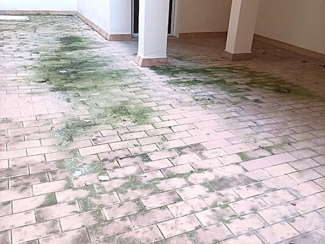Piso Venta Sevilla
