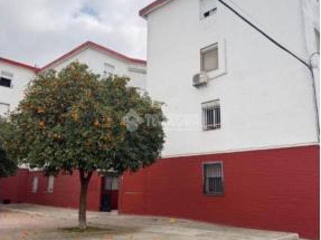 Piso Venta Sevilla Capital, Tiro de Línea