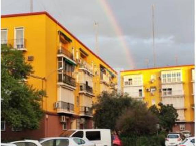 Piso Venta Sevilla Capital, El Plantinar El Juncal Avenida de la Paz
