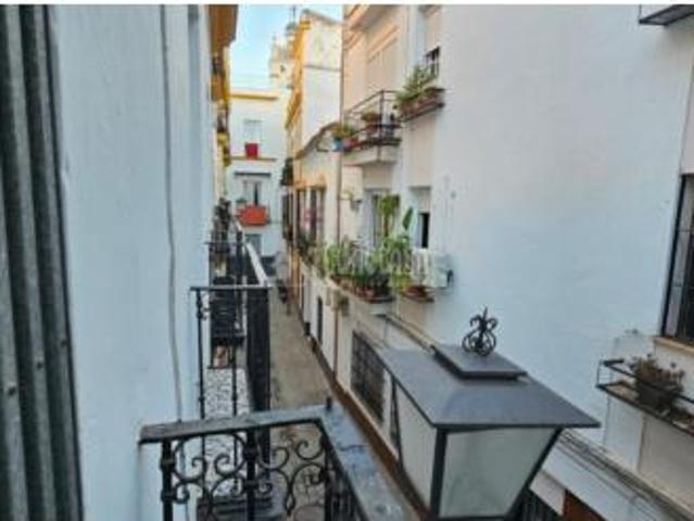 Piso Venta Sevilla Capital, Museo