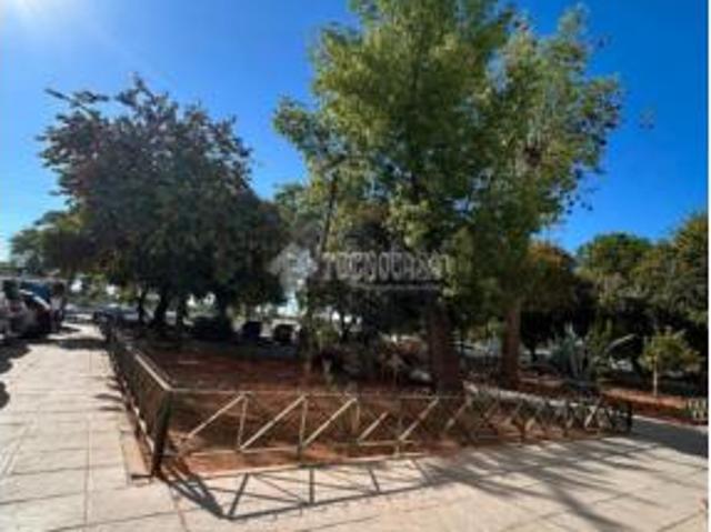 Piso Venta Sevilla Capital, Pino Montano