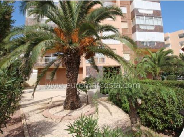 Piso Venta Torrevieja, La Mata