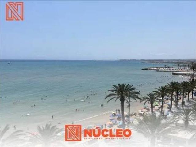 Piso Venta Torrevieja, Playa del Cura