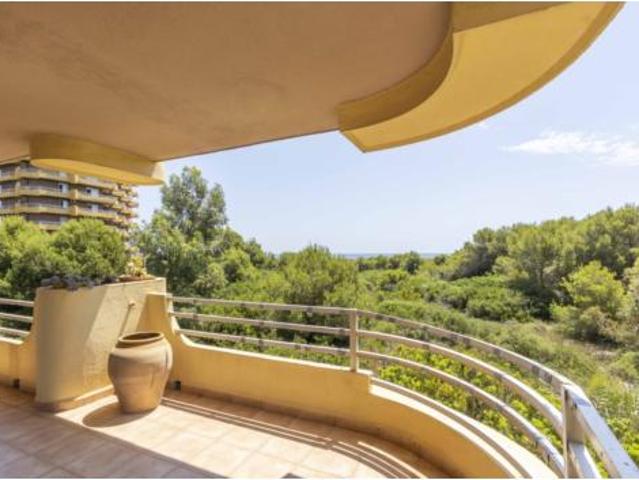 Piso Venta València Capital, El Saler