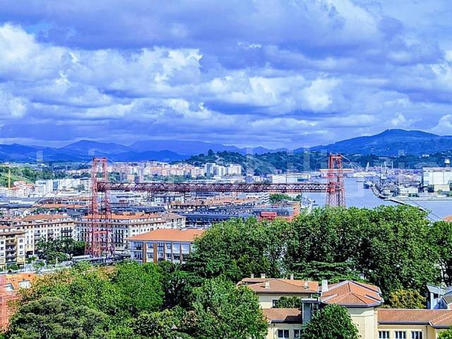 Piso Venta Vizcaya