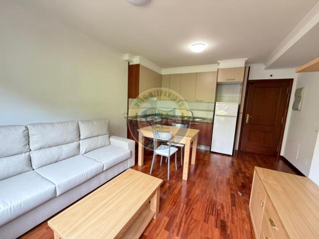 Piso, Vigo