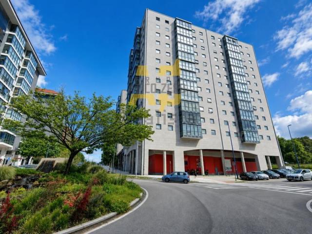 Piso, Vigo
