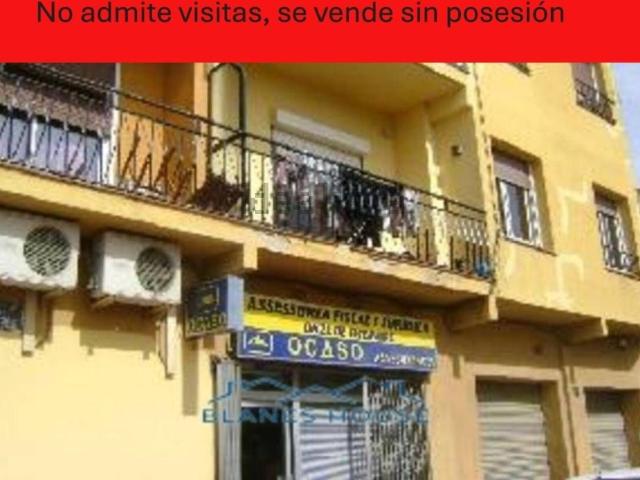 Piso, Vidreres