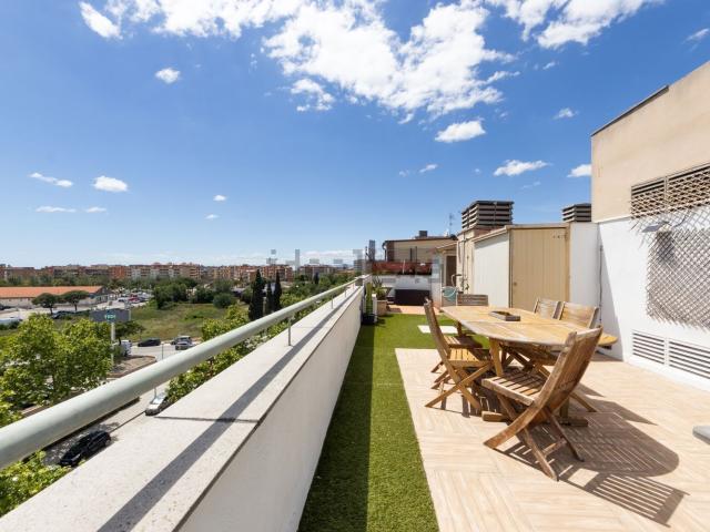 Piso, Vila Seca
