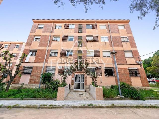 Piso, Vila Seca