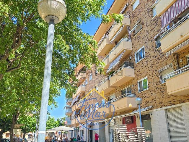 Piso, Vila Seca