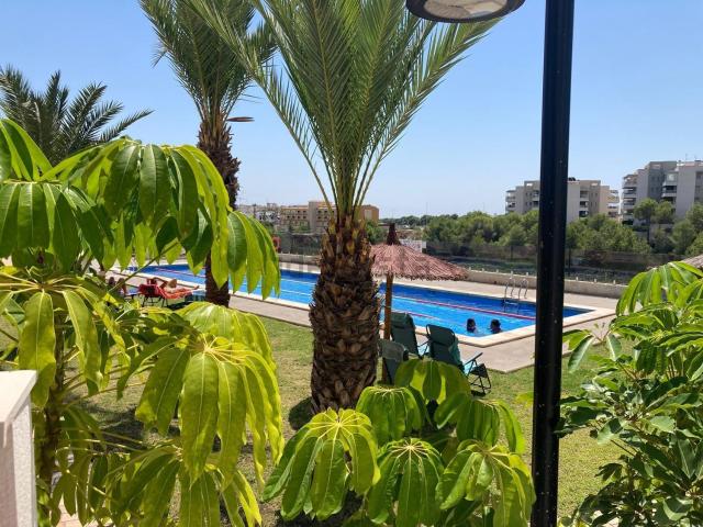 Piso, Villamartín, Orihuela