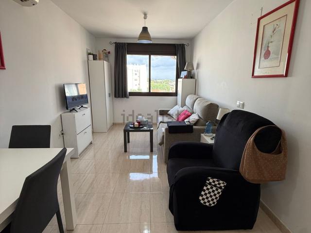 Piso, Vinarós