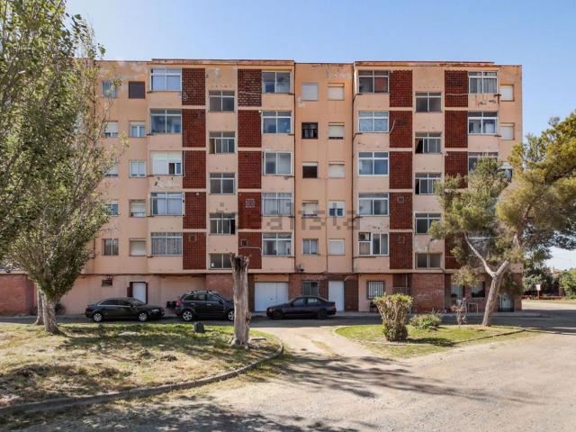 Piso, Vinyols i els Arcs
