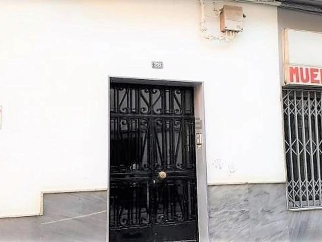 Piso, Zujar